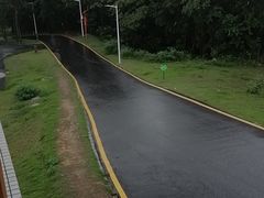 -黄埔油麻山森林公园