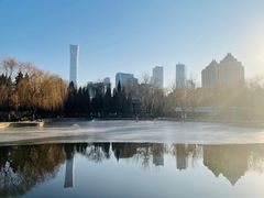 -团结湖公园