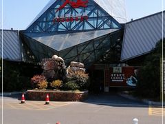 -久宴·天目湖大鱼头(恐龙园店)