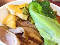 元气鹅肉饭-壹只卤鹅·潮汕菜(莲塘店)