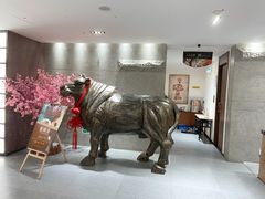 -秦宝雪花牛肉养生火锅(大兴九臻店)