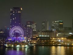 -神户美利坚公园东方大酒店