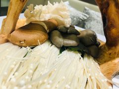 -红鼎豆捞·非遗鲍皇汤火锅(宝丰路店)