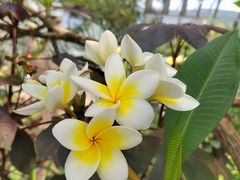 -北京植物园-展览温室