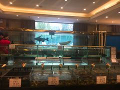 大堂-大东方海鲜酒楼(小武基桥店)