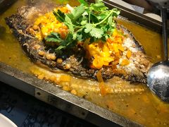 -探炉·香辣豆花烤鱼(雄峰城店)