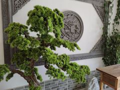 -呼吸森林·生态农庄农家乐私房菜