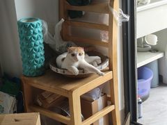 -泉州海丝野生动物世界