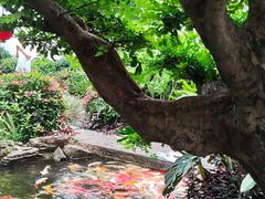 -聚福宝合苑食府(南头镇店)