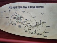 -莫尔道嘎国家森林公园