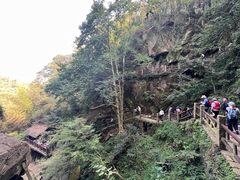 -莫干山风景区