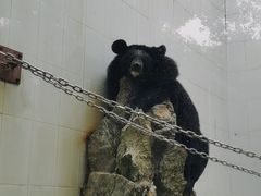 -广东茂名森林公园