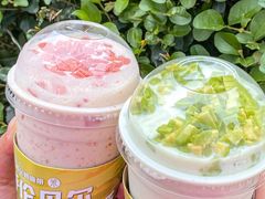 -茉酸奶(春熙路店)