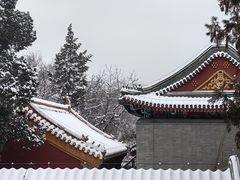 -颐和园