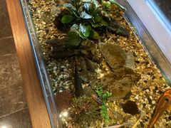 -新盈光·旗舰店(海曙苍松路店)