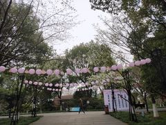 -金鸡湖桃花岛