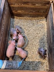 -酷嗒动物文化乐园(cutezoo西溪乐天城店)