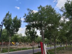 -天津东丽湖风景区