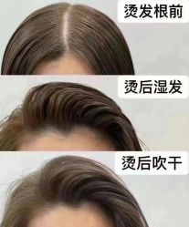 -汤尼英盖TONI&GUY-essensuals