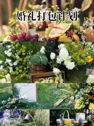 -余笙是你婚礼策划(创意谷店)