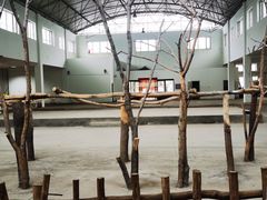 -哈尔滨北方森林动物园