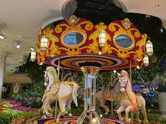 -拉斯维加斯永利酒店