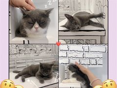 -白夜2D咖啡馆