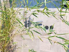 -静一餐厅·湖北菜(前门创始店)