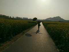 -光明小镇欢乐田园