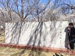 -桃花堤公园