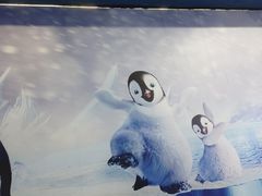 -合肥海洋世界