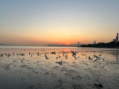 -深圳湾公园(南山区)