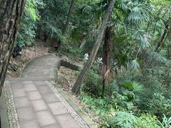 -凤栖山