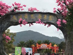 -天适樱花悠乐园