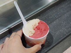 荔枝树莓洛神花-DIP in GELATO(富民路店)