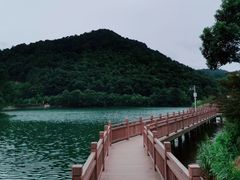 -桃花岭景区