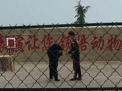 -东方熊牧场