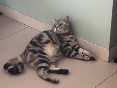 -平行世界·猫咖(首经贸店)