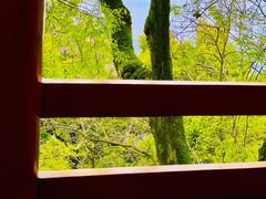 -涂山寺素食餐厅