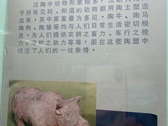 -古陶文明博物馆