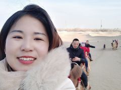 -敦煌老字号驴肉黄面(特色小吃街中段店)