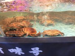 -王庄阿咪海鲜大排档(象园店)