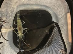 -DGE季风钓虾营地·团建·聚会