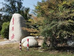 -莺歌海盐场