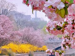 -元大都城垣遗址公园