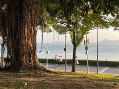 -深圳湾公园(南山区)