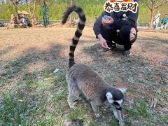 -秦皇岛野生动物园