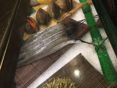 -佛山希尔顿酒店·融誉亚洲美食荟