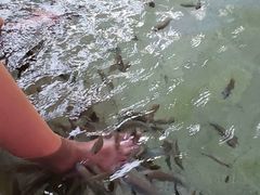 -碧水湾温泉