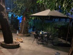 -柴犬高等学院·狗咖·柴犬售卖·宠物训练